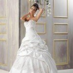 Miss Defne Gelinlik Modelleri 2014 (9)