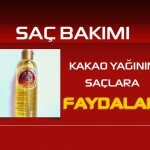 Kakao Yağının Saçlara Faydaları ve Kullanımı