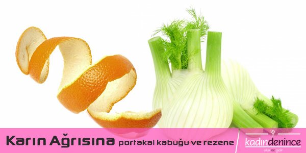 karin-agrisina-portakal-kabugu-ve-rezene-resim